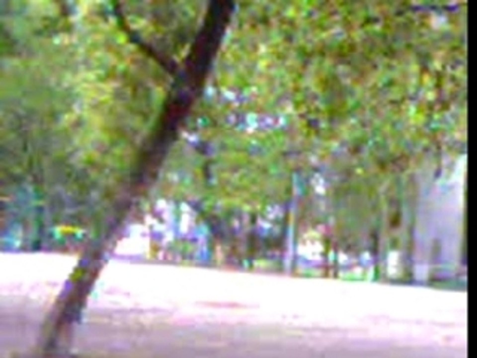 Tourt