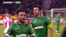 Wanderson Goal ● FK Crvena Zvezda vs FC Ludogoretz 1-2 ● UEFA Champions League 02 08 2016