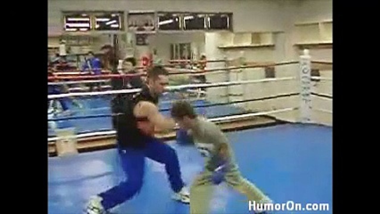 Boxer Graine de Champion 11 years old !!!