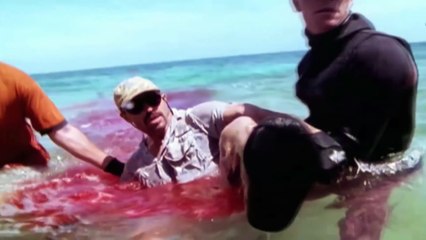 Top 5 Horrific Shark Attack Footage Caught On Tape 2016