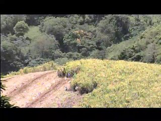 L&#039;avenir est ailleurs