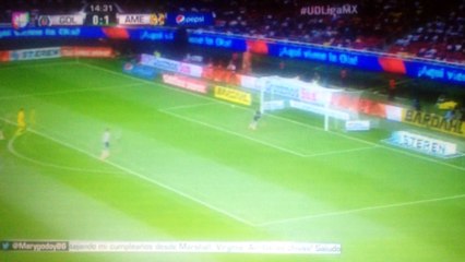 Luis Gabriel Rey Goal vs Chivas