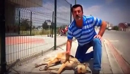 Köpeği motorun arkasına bağlayıp koşturarak öldüren şerefsizler