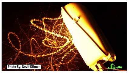¿Sabes por qué a los insectos les atrae la luz?