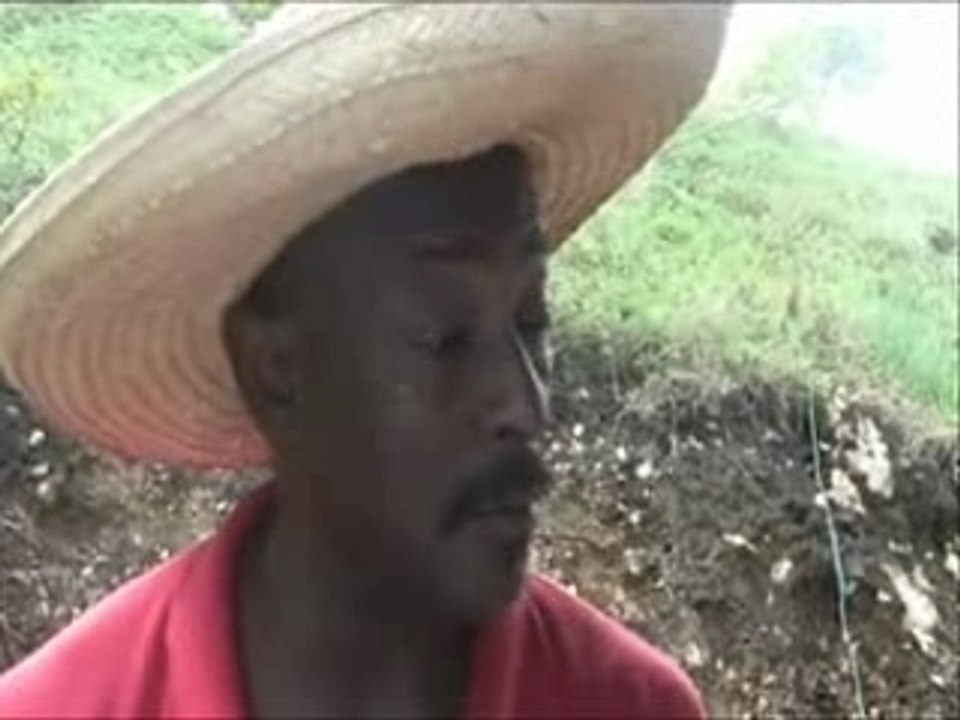 JOMIMI