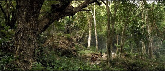 The Dwarves Must Be Crazy (Krasue kreung khon) international theatrical trailer