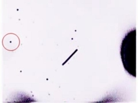 STS-75 Appearing Objects