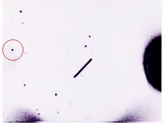 STS-75 Appearing Objects