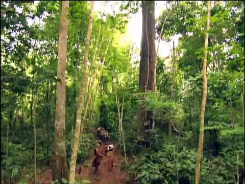 DVD 7- Amazônia, de Galvez a Chico Mendes - Delzuite (Parte 1)