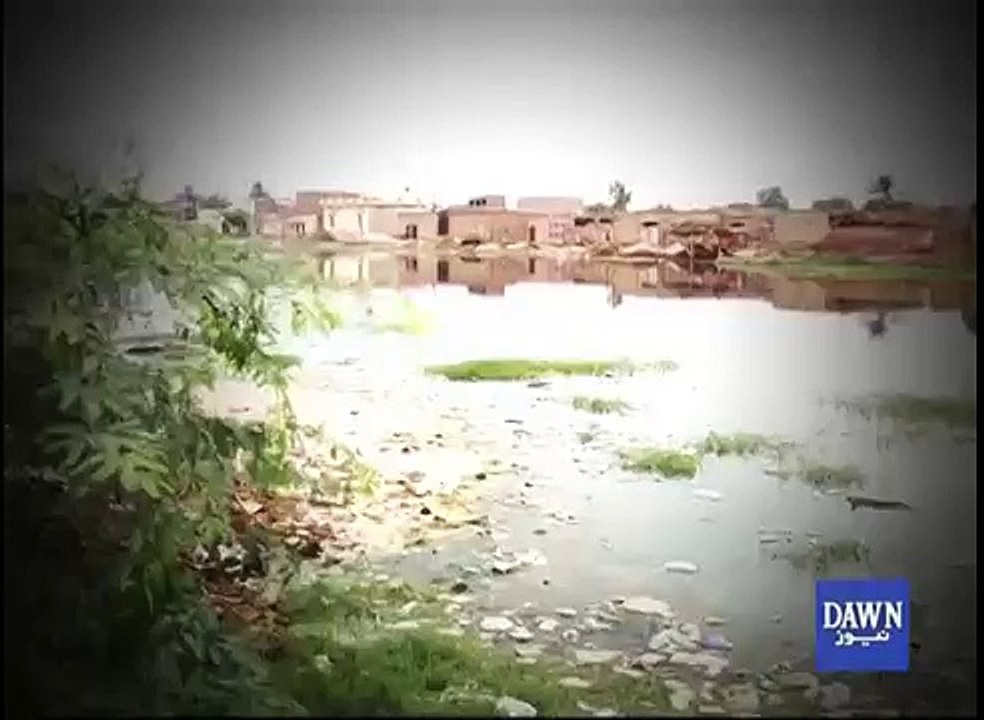 Poliovirus detected in Faisalabad sewage samples