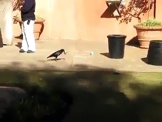 ‪Kindly spare your valuable 40 secs to... - Brajmohan Saraswat _ Facebook‬