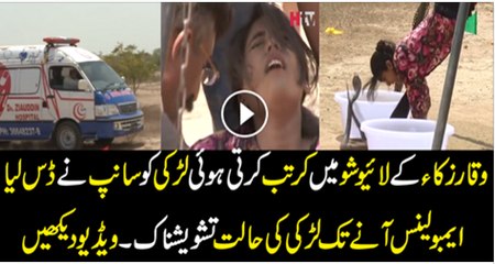 Jashne Azadi Se Phaly He Air Hostess  Ka Jahaz Main Dance Video Internet Par Viral Ho Gai