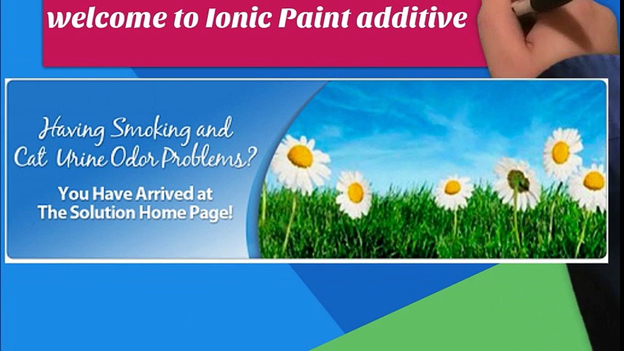 Buy Superior Quality Ionic Paint Air Purifier System for Home