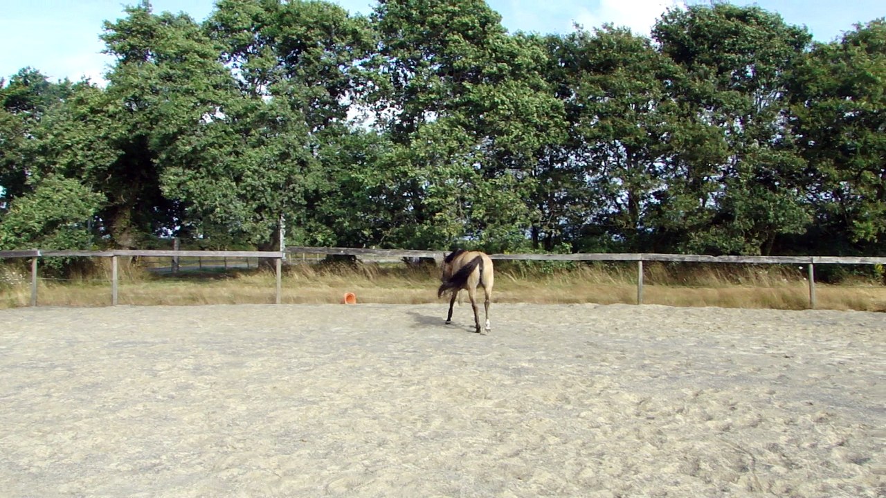 Castella, saut en liberté