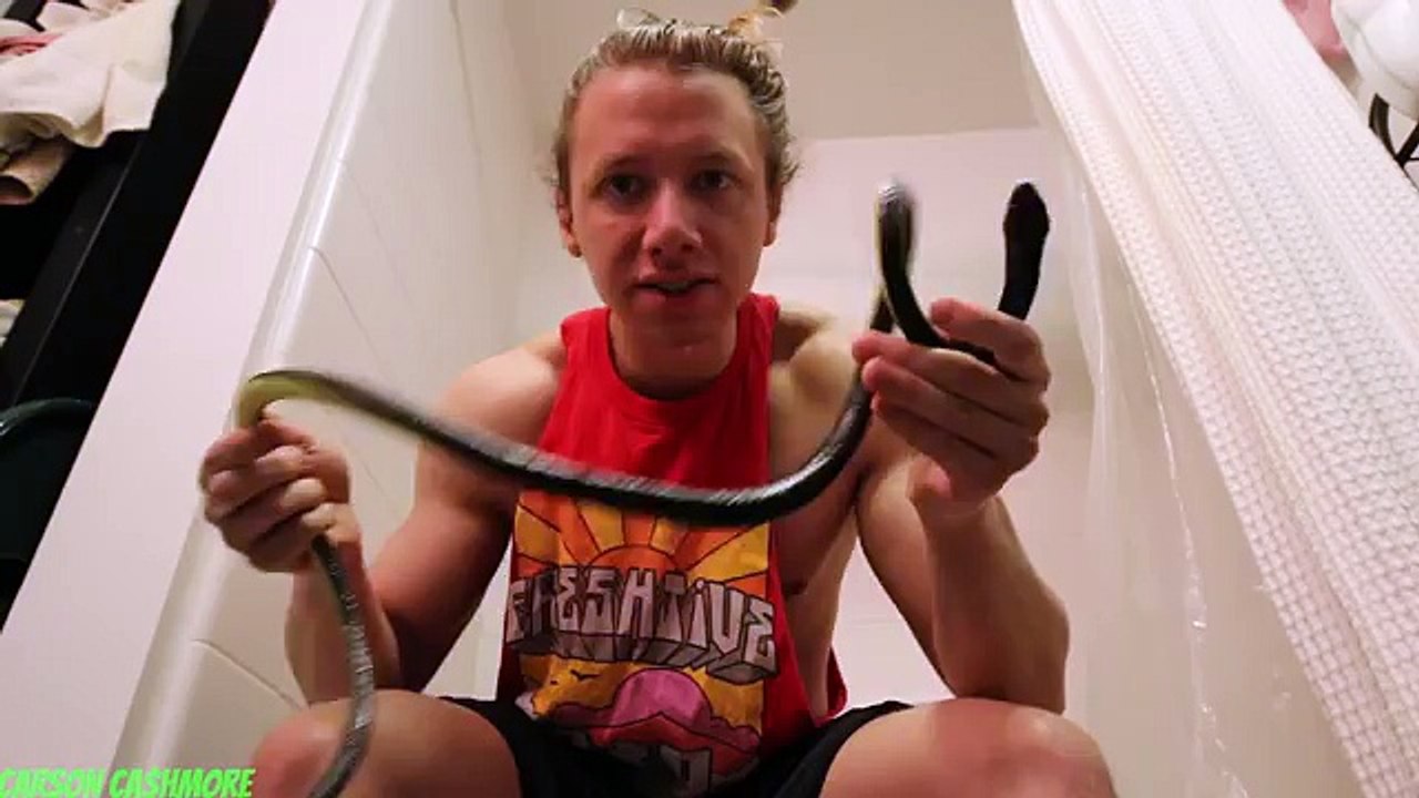 SNAKE PRANK!! - CASHMORE pranks