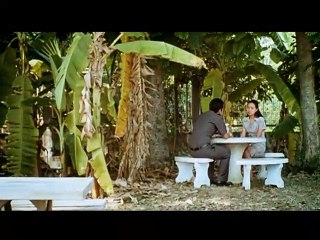 Syndromes and a century