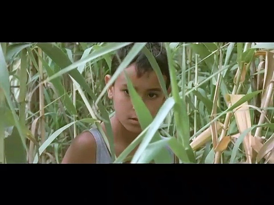 Cartouches gauloises- Ext 3