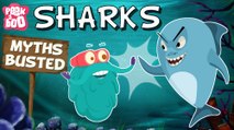 Sharks – Myths Busted | The Dr. Binocs Show | Educational Videos For Kids