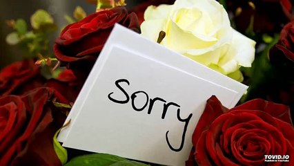 Ehsan Sehgal Prose Poem-I Am Sorry