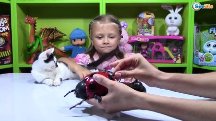 Download Video: Жук Божья Коровка! Ярослава и Котенок Барсик - Игрушки для детей Unboxing Radio Control Toys