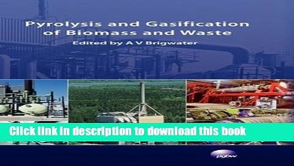 Ebook Pyrolysis and Gasification of Biomass and Waste Free Online