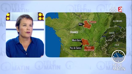 Des agriculteurs aussi artistes - 2016/08/03