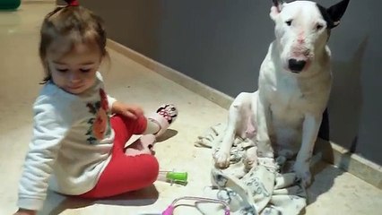 Una bimba di due anni gioca al dottore con il suo cane