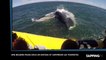 Une baleine passe sous un bateau de touristes, les images impressionnantes (Vidéo)