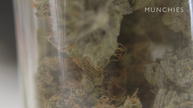 Bong Appetit : Le café au cannabis (VICE) (STFR) (2016)