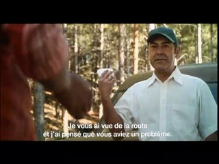 La nuit des tournesols