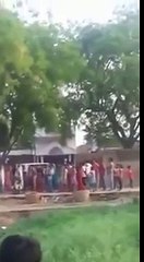 Woman Praying Namaz on Tree