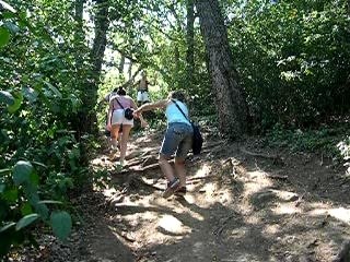 PAV-Route du Calvaire 2