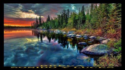 Behringer X32 & BRECA Sonido y Luces