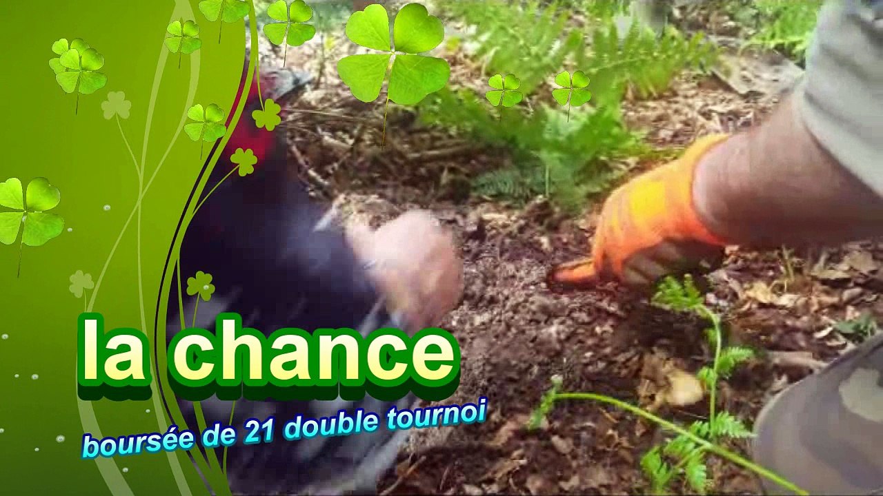 sortie détection en Normandie