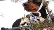 Huntin  Dog Part 2 - WABBIT SEASON - Crusoe Dachshund !