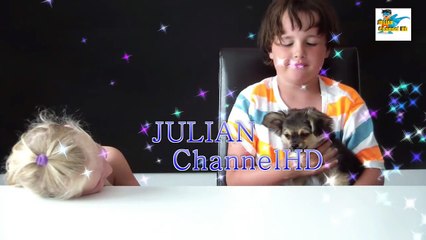 mes ANIMAUX surprises CHIEN OU CHAT FUNNY VIDEO DOG & CAT !