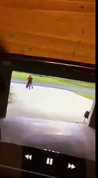 Un petit voisin se rend régulièrement vers son garage. Ce qu'il fait avec sa chienne, la pousse à retrouver le petit !