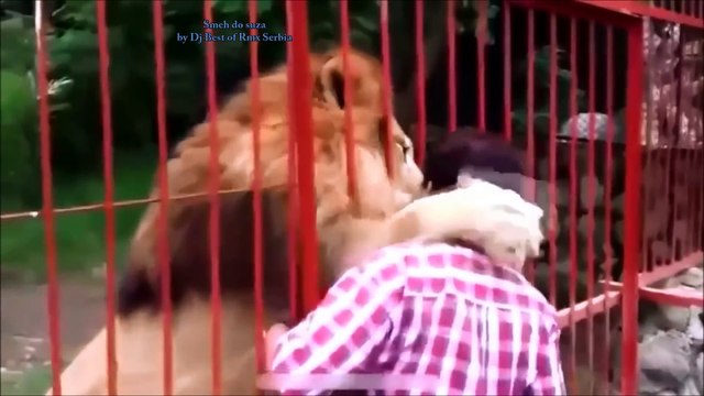 Smeh do suza - Smešne životinje Funny animals 3