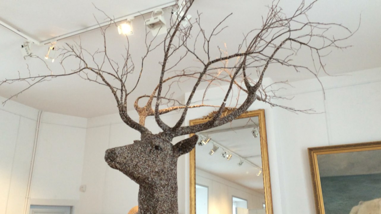 L'exposition "Autour du cerf"au musée du château de Flers