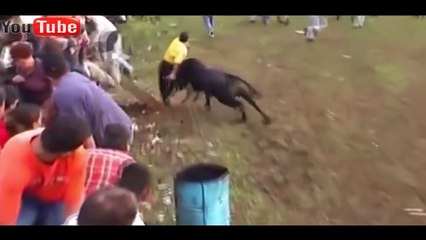 Best funny videos - Comic bullfighting festival in Portugal - Funny crazy bull attacks people P1