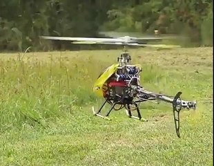 Il tue les guêpes avec les pales d'un hélicoptère télécomandé !