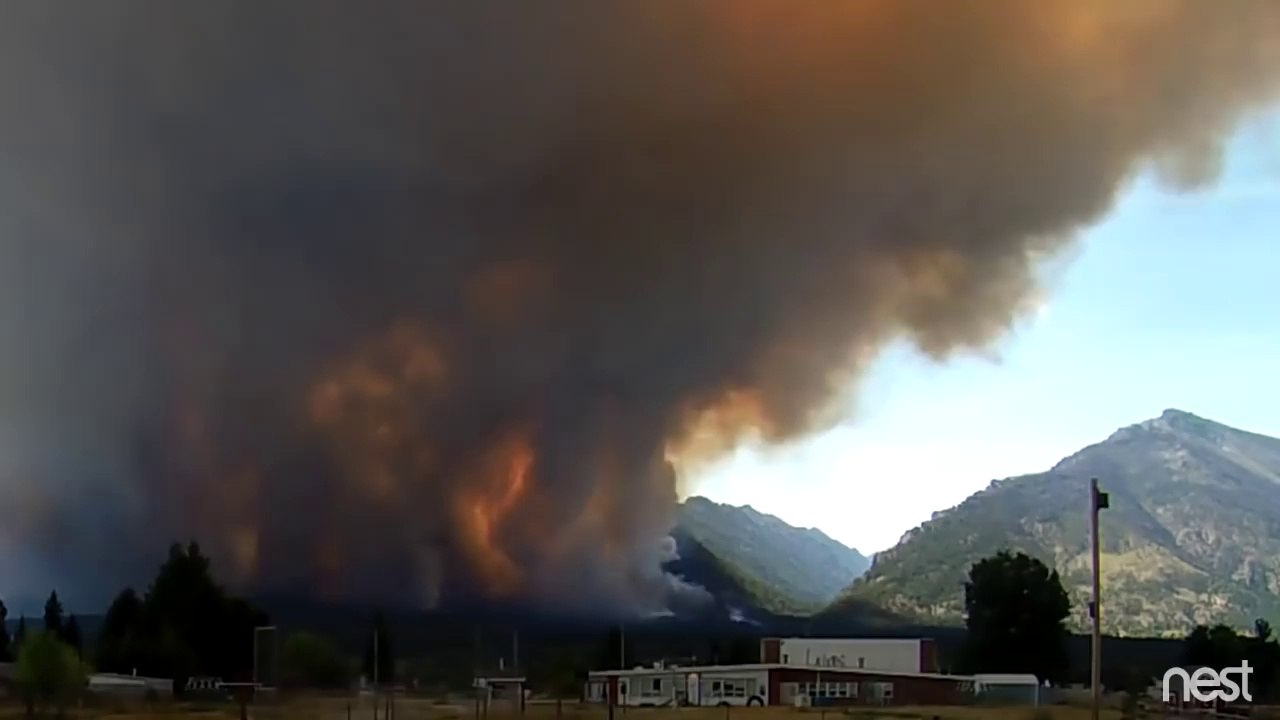 Début et formation d'un feu de forêt filmé par une caméra de surveillance
