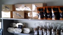 Île de Ré-Crémerie Fromagerie La Cailletière