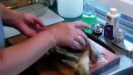 funny clips-funny pranks-funny fails-funny videos-Best Fails-top funny-funny videos 2016-Funny