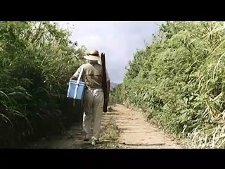 Sonatine
