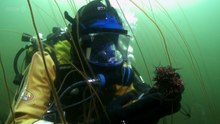 BBC Making Scotlands Landscape 3 of 5 The Sea