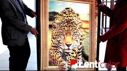3D LENTICULAR