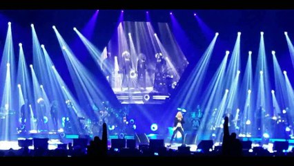 michel polnareff tamtam amneville 18 mai 2016