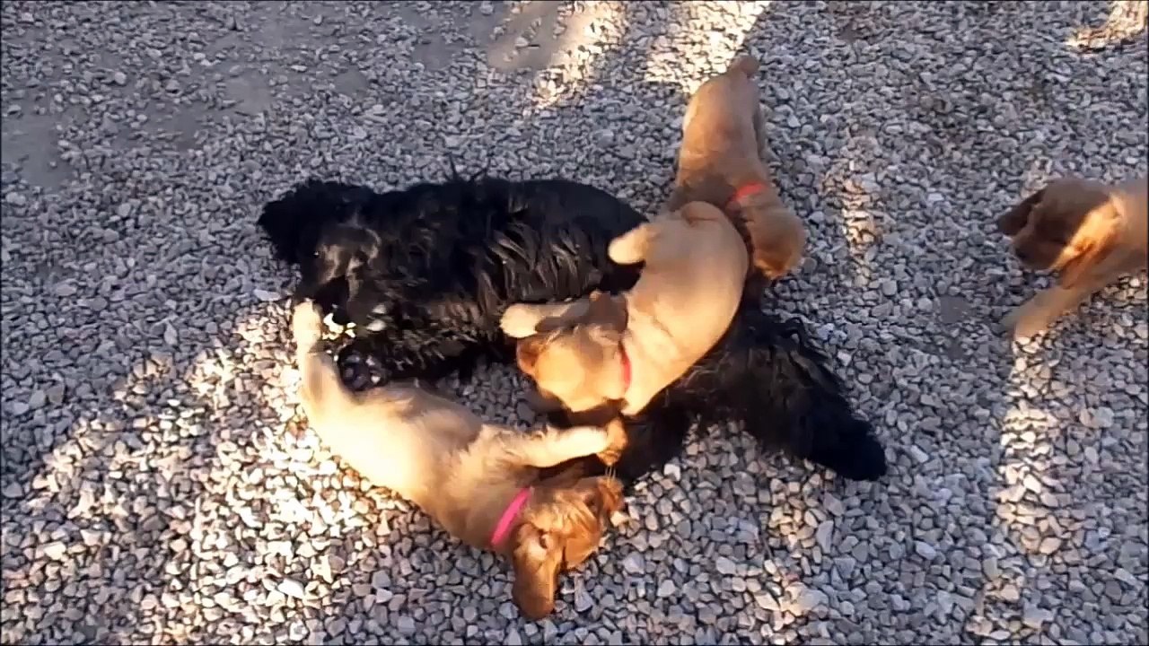 29.06.2016.jeux du matin2