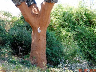 de la frontière à la côte ouest atlantique